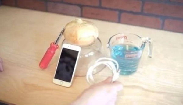 Foto - İngiliz gençten şok eden iddia! Sadece soğan kullanarak yaptı