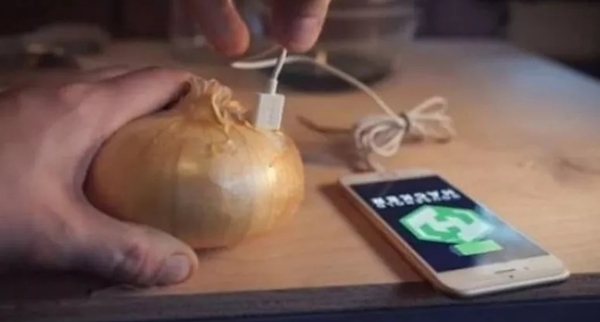 Foto - İngiliz gençten şok eden iddia! Sadece soğan kullanarak yaptı