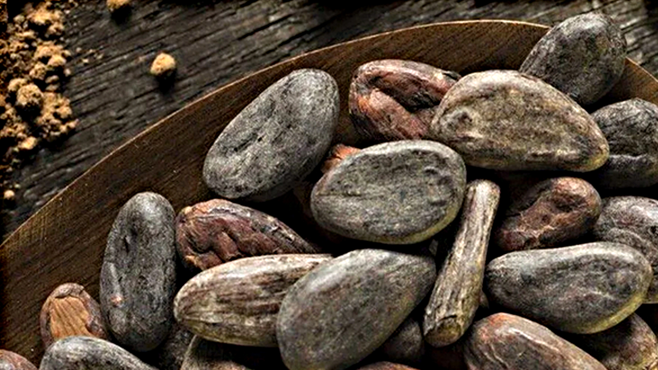 Foto - İngiliz profesör açıkladı! İşte o bakın ne çıktı: Yıllarca zararlı olduğunu söylediler ama hafızayı zehir gibi çalıştırıyor