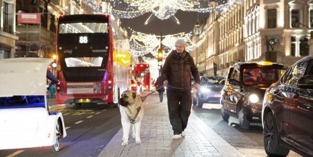 İngilizler hayran kaldı! Fotoğraf çekilmek için sıraya girdiler