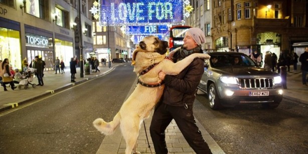 Foto - İngilizler hayran kaldı! Fotoğraf çekilmek için sıraya girdiler