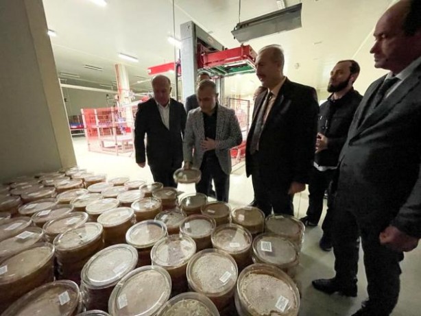 Foto - İngilizler peşine düştü! Ordu'dan tam 23 ton sipariş verdiler