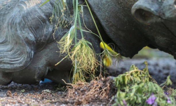Foto - İngilizlerin katliamları halkı çılgına çevirdi! Kraliçe Elizabeth'e büyük şok: Kafasını kopardılar