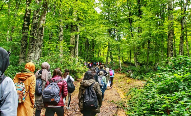 İngiltere'de araştırma sonucu açıklandı! Kalp krizi ve felç riskini 5'te 1 oranında azaltıyor