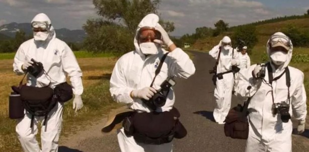 Foto - İngiltere’de kuş gribi alarmı