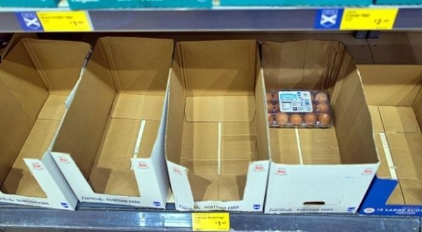 Foto - İngiltere'de yumurta krizinde yeni perde: Bu sadece başlangıç