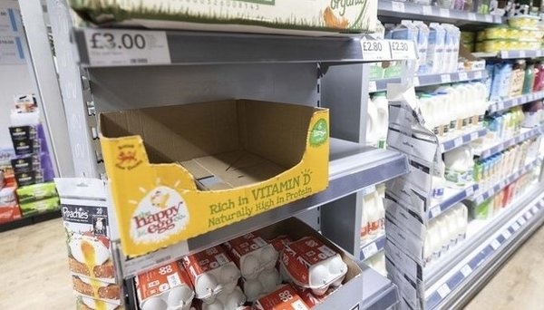 Foto - İngiltere'de yumurta krizinde yeni perde: Bu sadece başlangıç