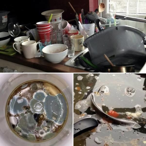 Foto - İngiltere’nin en pis öğrencisi seçildi! Evine çok şaşıracaksınız!