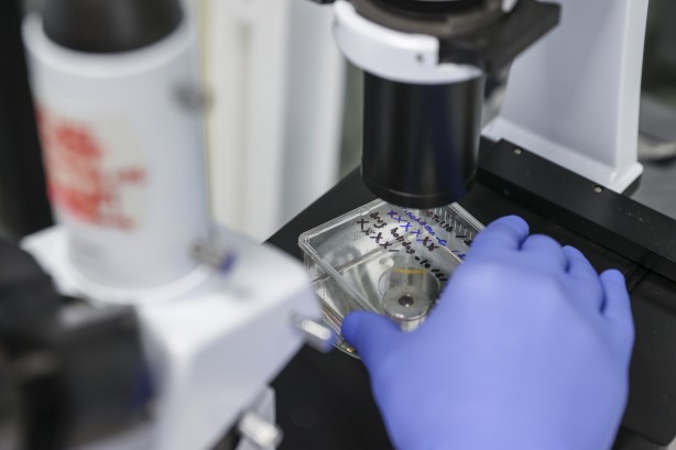 İngiltere'yi bırakıp Türkiye'yi seçti! Türk bilim insanından çığır açacak adım