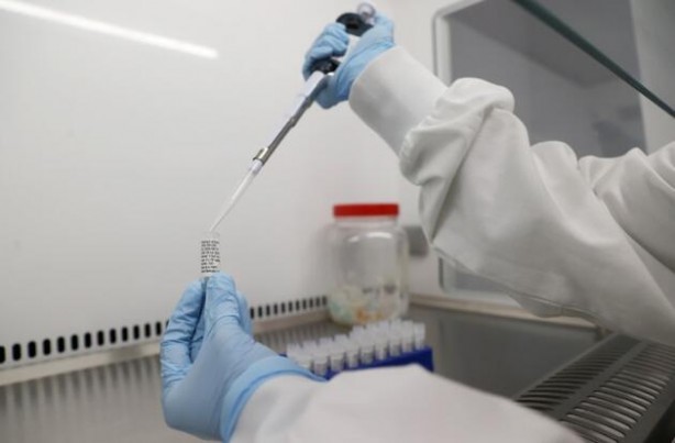 Foto - İngiltere'yi sarsan iddia: Gerçek ölü sayısı...