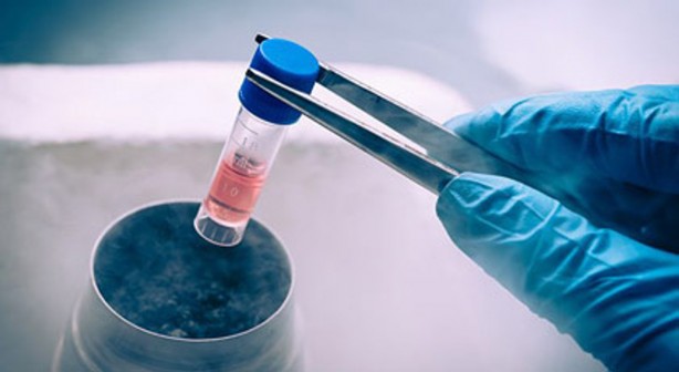 Foto - İngiltere'yi sarsan skandal: Üç bin ölü!