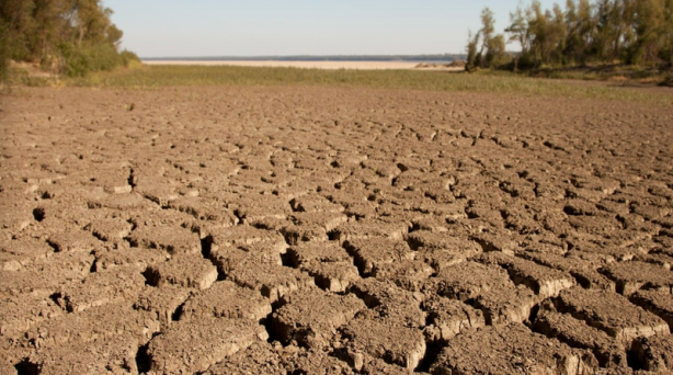 Foto - İnşaat ekibinin çamurlu arazide bulduğu şey, tüm dünyayı şok etti! Yanlışlıkla topraktan bunu çektiler! Apar topar duyuruldu