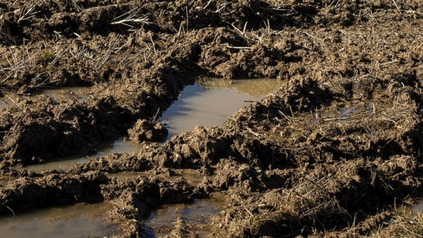 Foto - İnşaat ekibinin çamurlu arazide bulduğu şey, tüm dünyayı şok etti! Yanlışlıkla topraktan bunu çektiler! Apar topar duyuruldu