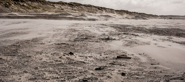 Foto - İnşaat ekibinin çamurlu arazide bulduğu şey, tüm dünyayı şok etti! Yanlışlıkla topraktan bunu çektiler! Apar topar duyuruldu