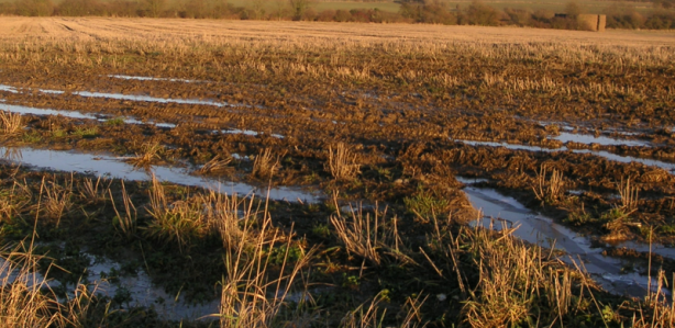 Foto - İnşaat ekibinin çamurlu arazide bulduğu şey, tüm dünyayı şok etti! Yanlışlıkla topraktan bunu çektiler! Apar topar duyuruldu