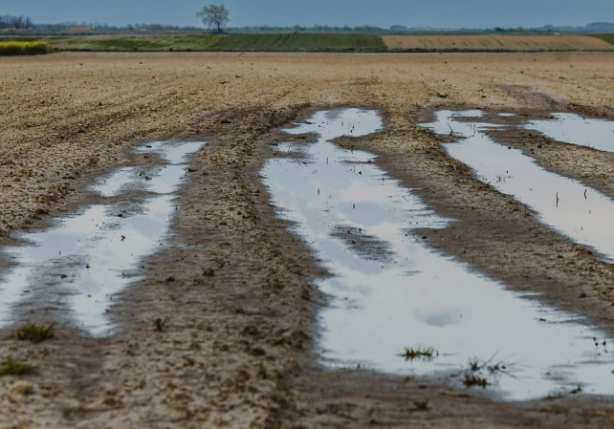 Foto - İnşaat ekibinin çamurlu arazide bulduğu şey, tüm dünyayı şok etti! Yanlışlıkla topraktan bunu çektiler! Apar topar duyuruldu