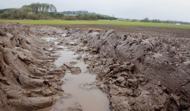 Foto - İnşaat ekibinin çamurlu arazide bulduğu şey, tüm dünyayı şok etti! Yanlışlıkla topraktan bunu çektiler! Apar topar duyuruldu