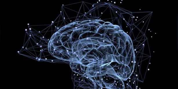 Foto - İnsan beynine ilk defa çip yerleştirdiler