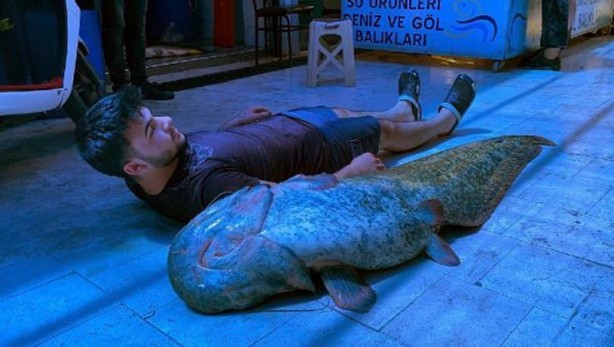 Foto - İnsan boyundaki balığın fiyatı tam 21 bin lira!