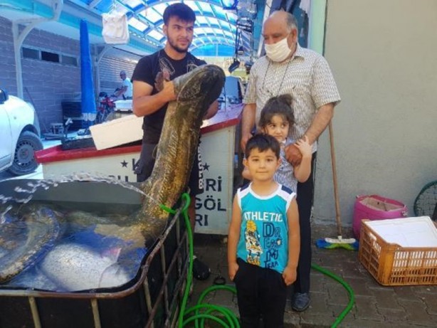 Foto - İnsan boyundaki balığın fiyatı tam 21 bin lira!