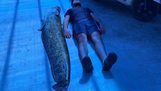 İnsan boyundaki balığın fiyatı tam 21 bin lira!