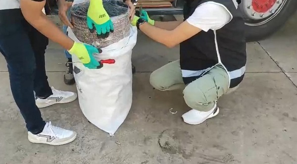 Foto - İnsan hayret ediyor! Bobinin içinden bakın ne çıktı