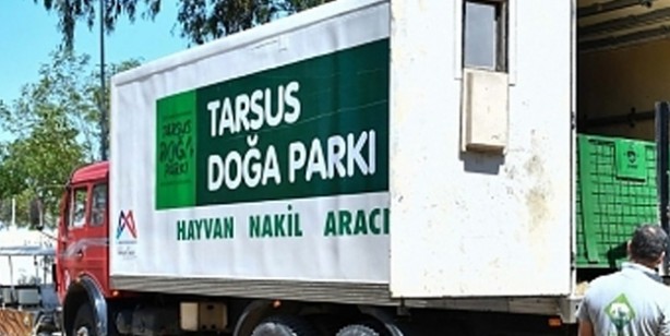 Foto - İnsan kanıyla besleniyor! O ilimizde büyük panik