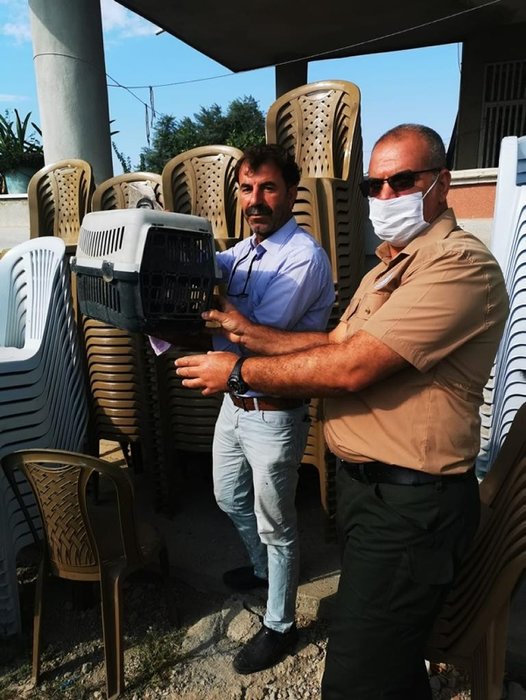 Foto - İnsan kanıyla besleniyor! O ilimizde büyük panik
