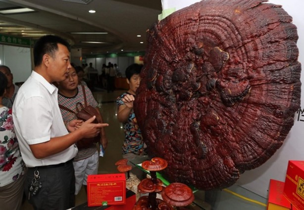 Foto - İnsan ömrünü 120 yıla çıkarıyor