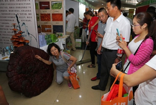 Foto - İnsan ömrünü 120 yıla çıkarıyor