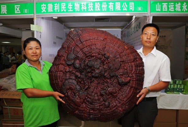 Foto - İnsan ömrünü 120 yıla çıkarıyor