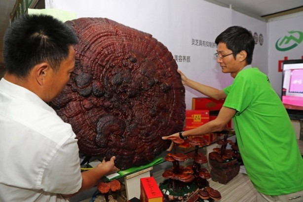 Foto - İnsan ömrünü 120 yıla çıkarıyor