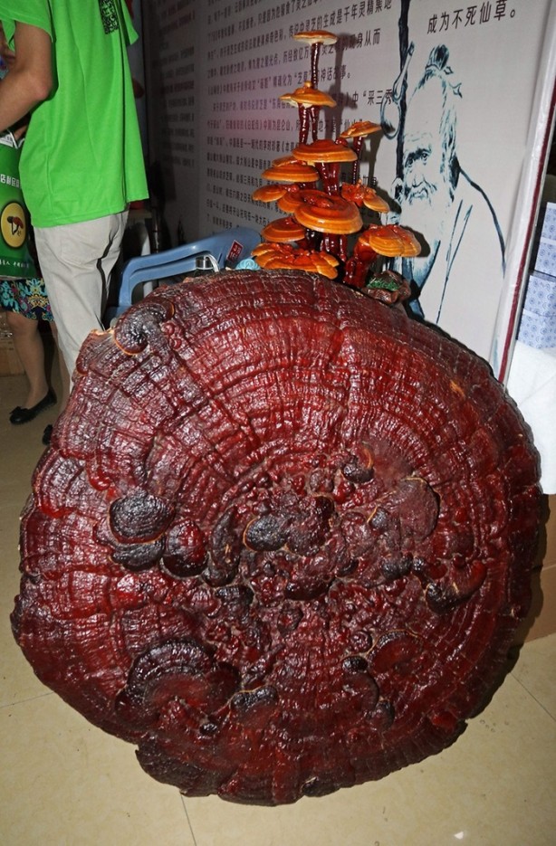  İnsan ömrünü 120 yıla çıkarıyor