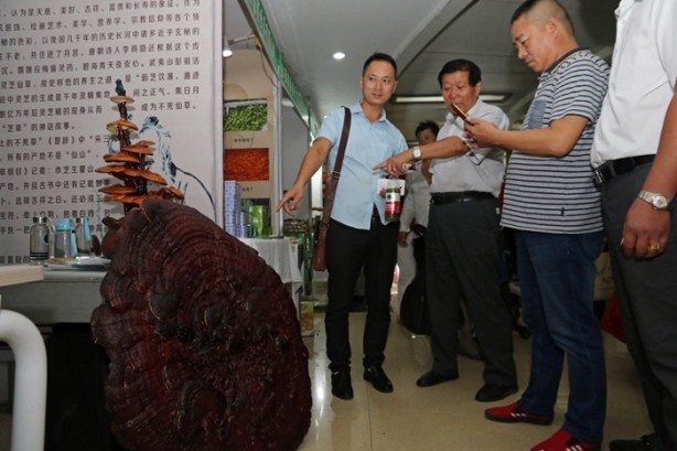 Foto - İnsan ömrünü 120 yıla çıkarıyor