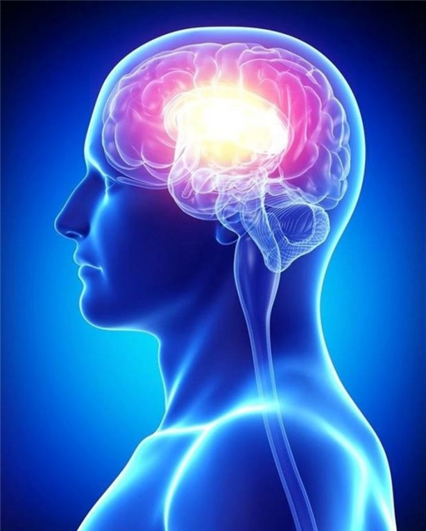 Foto - İnsan vücudu hakkında ilginç bilgiler