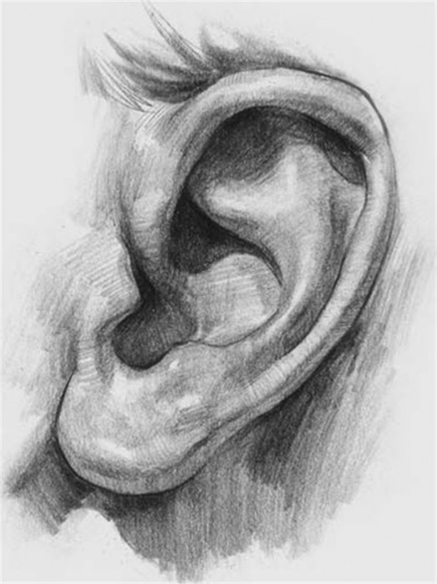 Foto - İnsan vücudu hakkında ilginç bilgiler