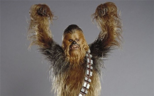 Foto - İnsan vücudu hakkında ilginç bilgiler