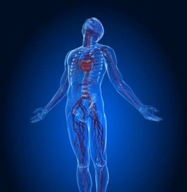 Foto - İnsan vücudu radyasyon yayıyor!