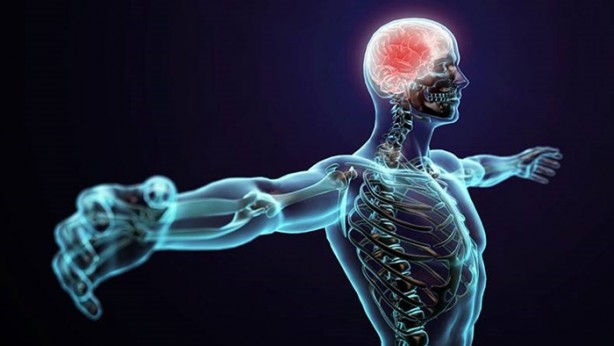 Foto - İnsan vücudu radyasyon yayıyor!