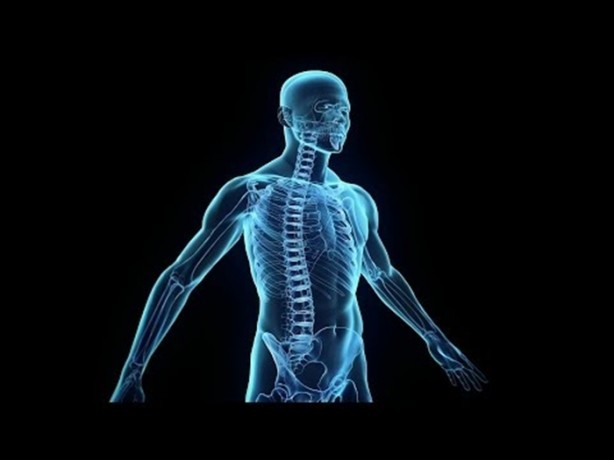 Foto - İnsan vücudu radyasyon yayıyor!