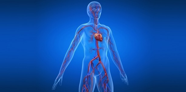 Foto - İnsan vücudu radyasyon yayıyor!