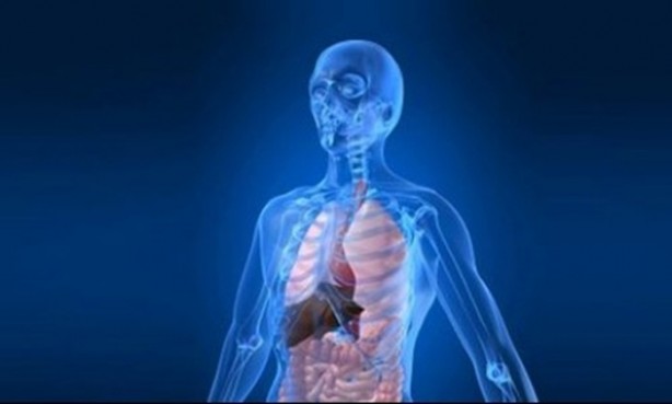 Foto - İnsan vücudu radyasyon yayıyor!