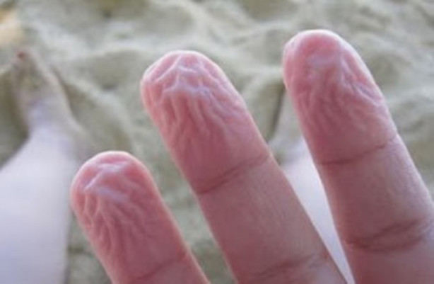 Foto - İnsan vücudunun az bilinen özellikleri