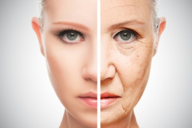 Foto - İnsan vücudunun az bilinen özellikleri