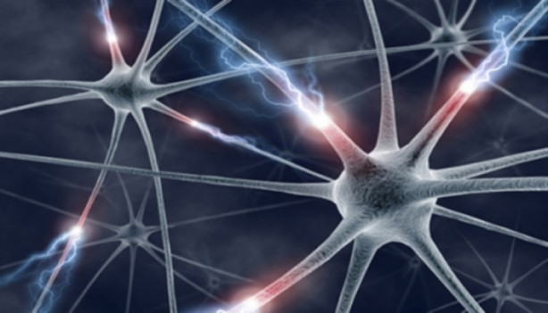 Foto - İnsan vücudunun az bilinen özellikleri