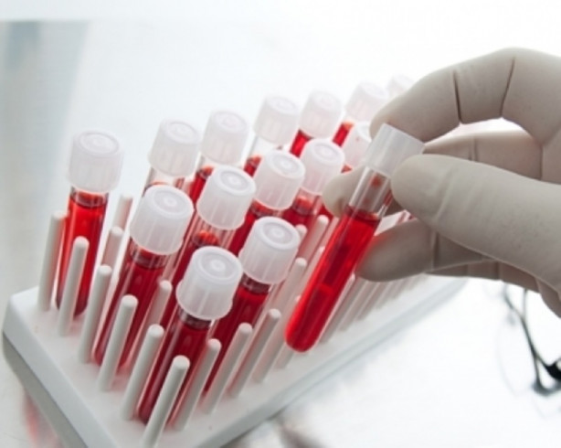 Foto - İnsan vücudunun az bilinen özellikleri