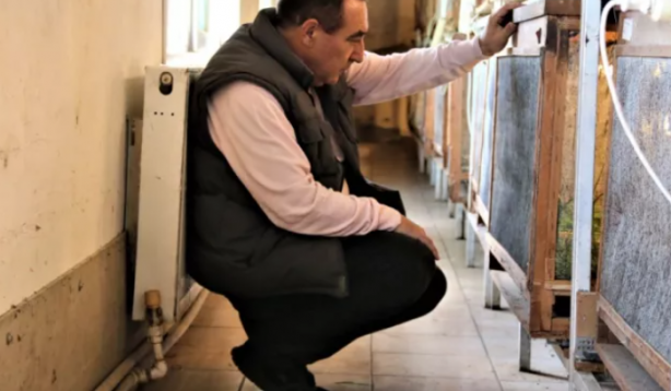 İnsanlar korkudan yanlarına yaklaşamıyor! O ise tanesini 30 liradan satıp paraya para demiyor