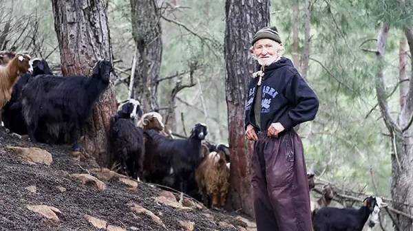 İnsanlara bakın neden küsmüş! Herkese küstü 17 yıldır dağda yaşıyor