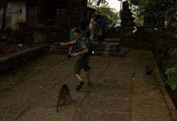 Foto - İnsanları en çok onlar öldürüyor