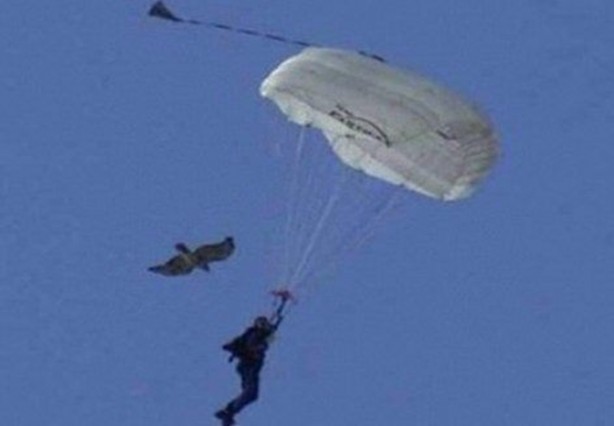 Foto - İnsanları en çok onlar öldürüyor